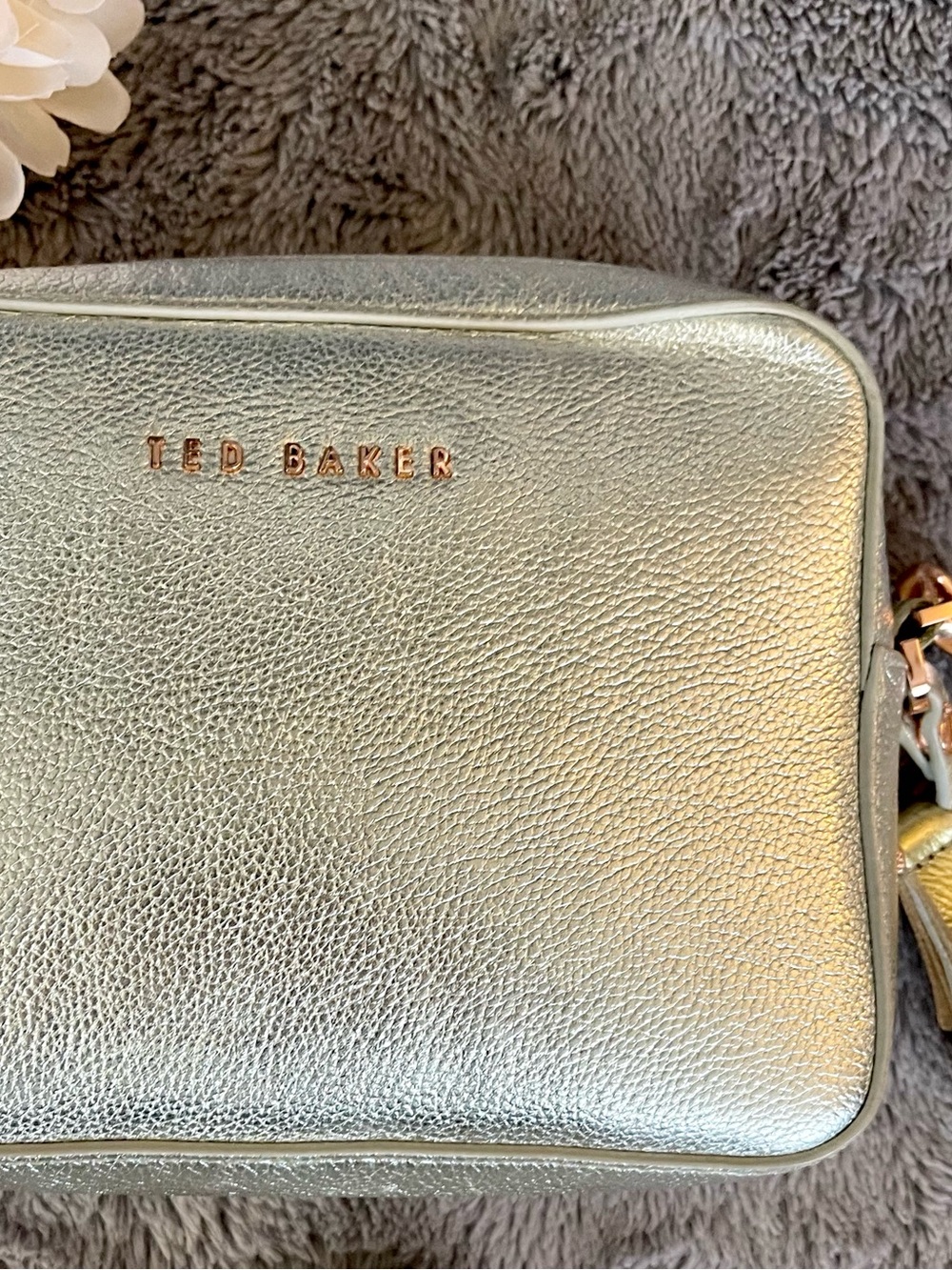 Ted Baker Metallic Darwina Leather Tassel Camera Crossbody Bag